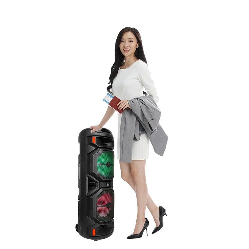 Bocina Bluetooth 8”x2