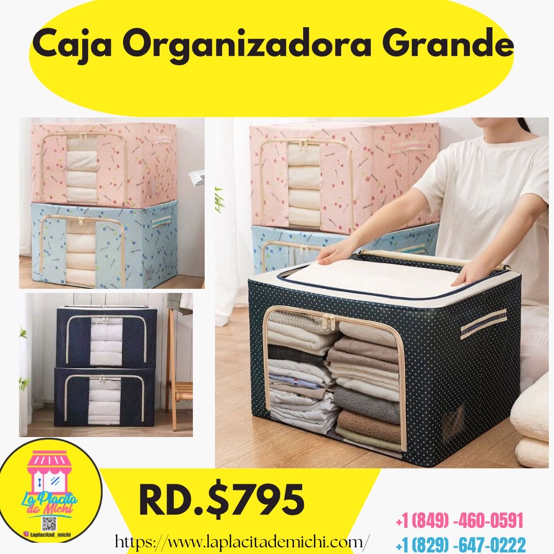 Caja Organizadora Grande.