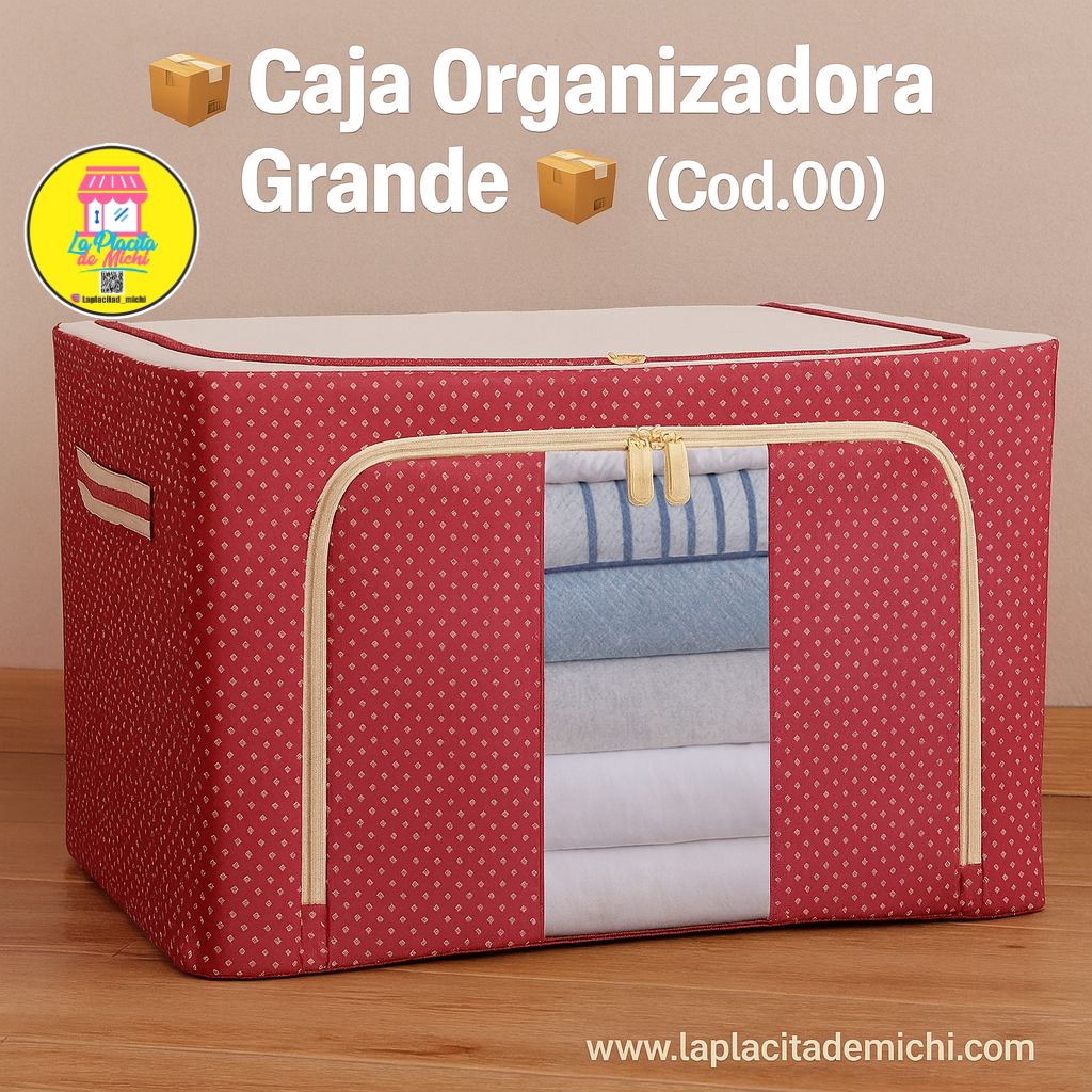 Caja Organizadora Grande.