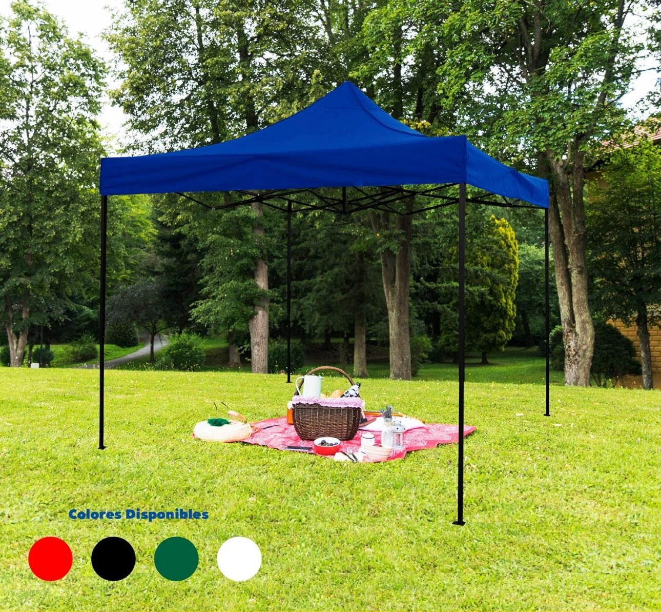 Carpa Toldo Plegable 2x2