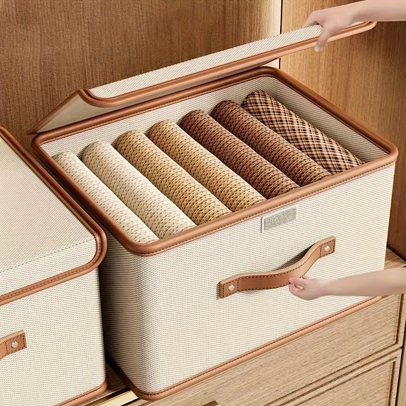 Organizador de Ropa Con Tapa (Cod.65-3)