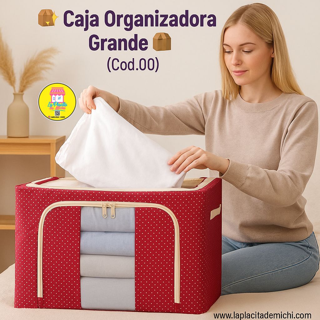 Caja Organizadora Grande.