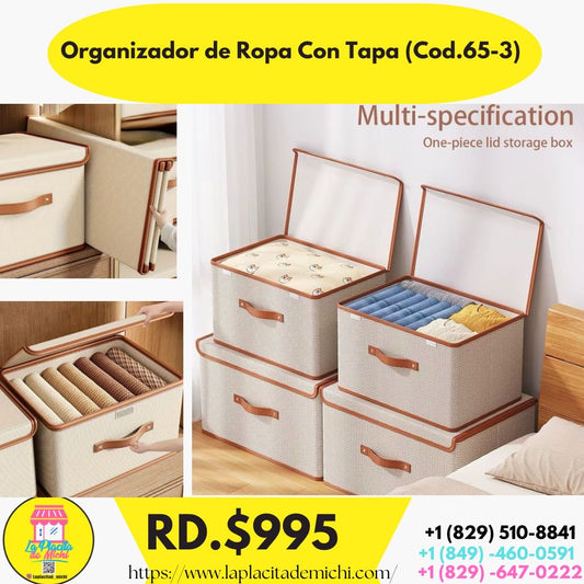 Organizador de Ropa Con Tapa (Cod.65-3)