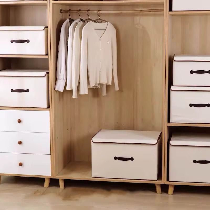 Organizador de Ropa Con Tapa (Cod.65-3)